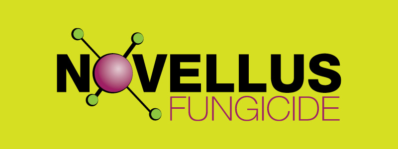 Do you have any questions? Do you want to know where to buy it?